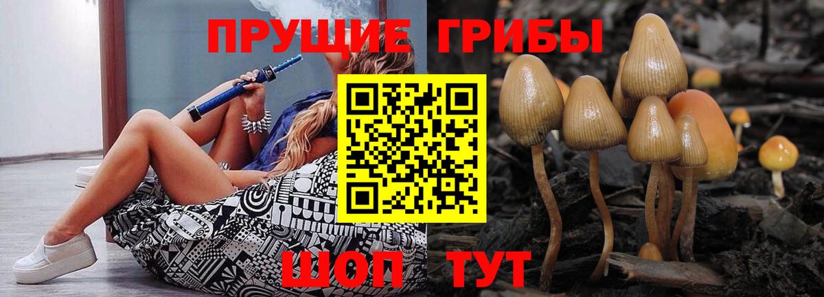 Галлюциногенные грибы MAGIC MUSHROOMS Кизилюрт